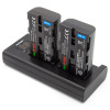 ChiliPower NP-F550 Sony USB Duo Kit - Camera accu set